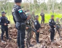 En plena selva: localizan y destruyen pista ilegal de un kilómetro