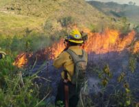 Más de 1 mil 600 incendios forestales liquidados en Guatemala; 16 aún siguen activos
