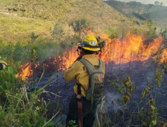 Más de 1 mil 600 incendios forestales liquidados en Guatemala; 16 aún siguen activos