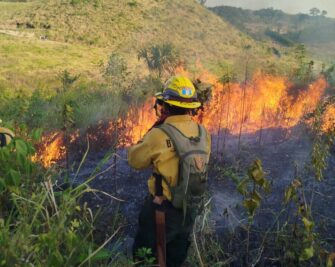 Más de 1 mil 600 incendios forestales liquidados en Guatemala; 16 aún siguen activos