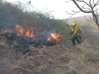 Un total de 11 incendios se encuentran activos en el país y movilizan brigadas de respuesta