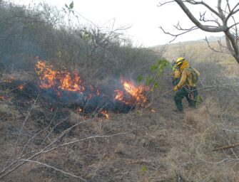 Un total de 11 incendios se encuentran activos en el país y movilizan brigadas de respuesta