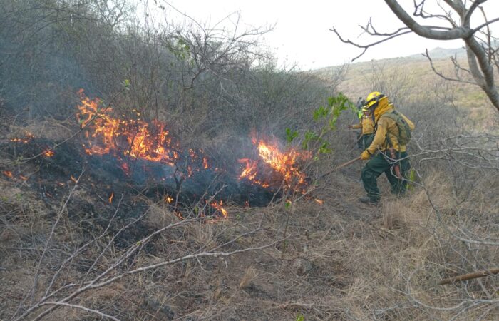 Un total de 11 incendios se encuentran activos en el país y movilizan brigadas de respuesta