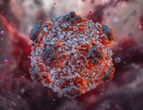 Chile declara alerta sanitaria por aumento de muertes por hantavirus