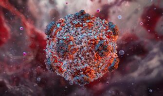 Chile declara alerta sanitaria por aumento de muertes por hantavirus