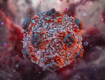 Chile declara alerta sanitaria por aumento de muertes por hantavirus