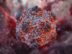 Chile declara alerta sanitaria por aumento de muertes por hantavirus