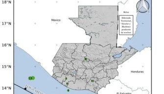 Más de 3 mil 500 sismos se han registrado en Guatemala durante 2026