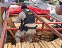 Capturan a conductor con madera forestal no reportada en Tactic