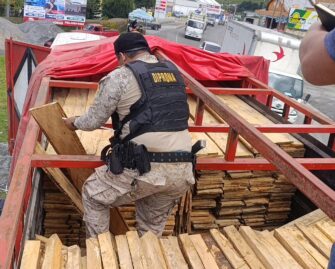 Capturan a conductor con madera forestal no reportada en Tactic