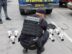 Retiran 22 cámaras ilegales vinculadas a grupos criminales en zona 7