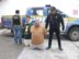Decomisan siete fusiles, pistolas y drogas durante operativo en Villa Canales