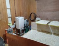 PNC reporta hallazgo de 93 mil piedras de crack y 40 mil dosis de cocaína