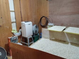 PNC reporta hallazgo de 93 mil piedras de crack y 40 mil dosis de cocaína
